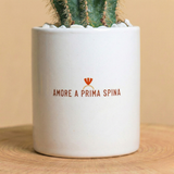 Amore a prima spina