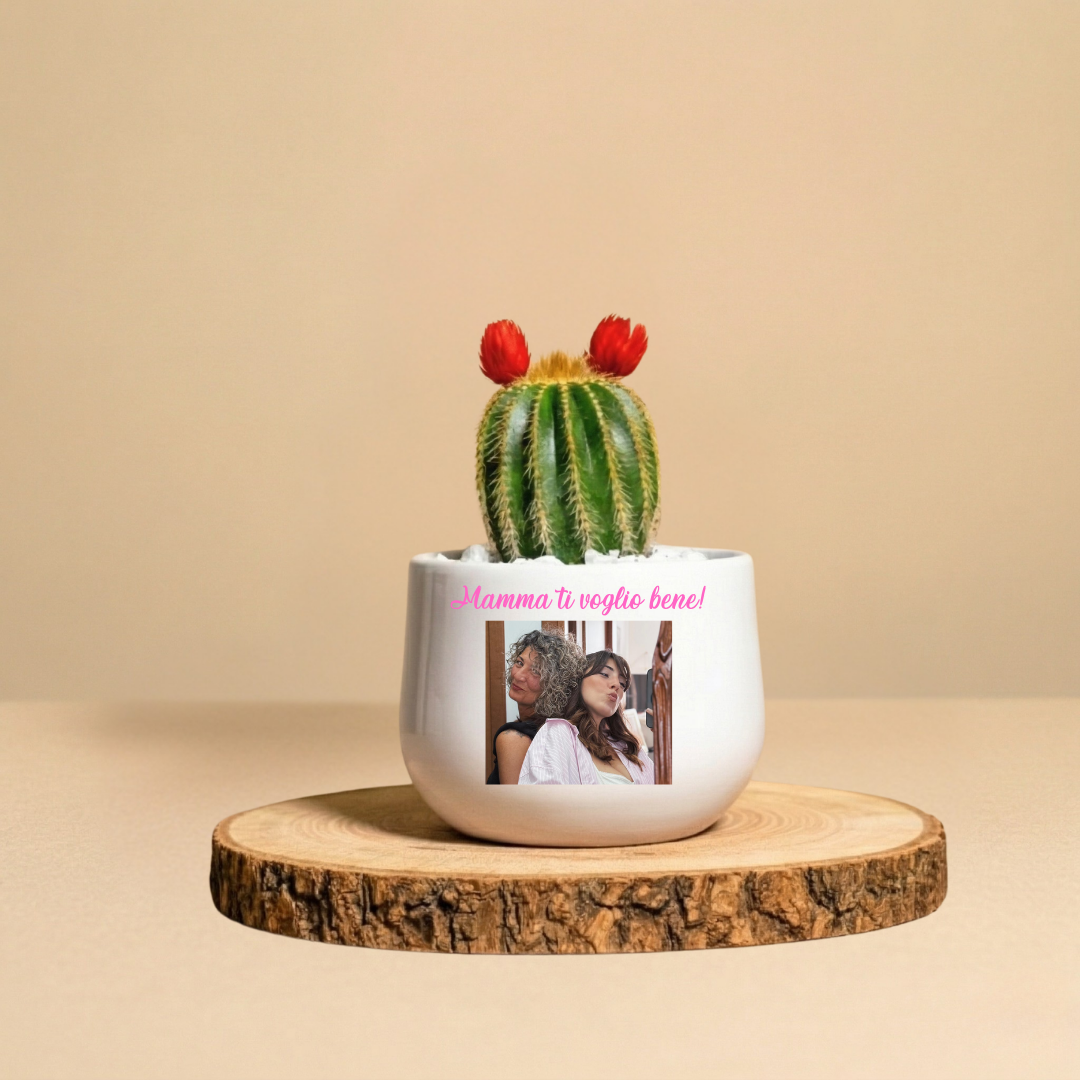 Immagine diapositiva