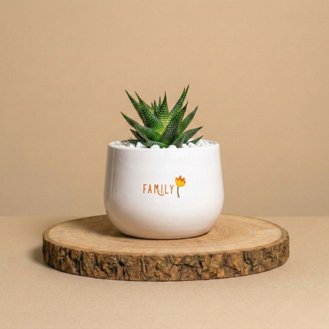 Immagine diapositiva