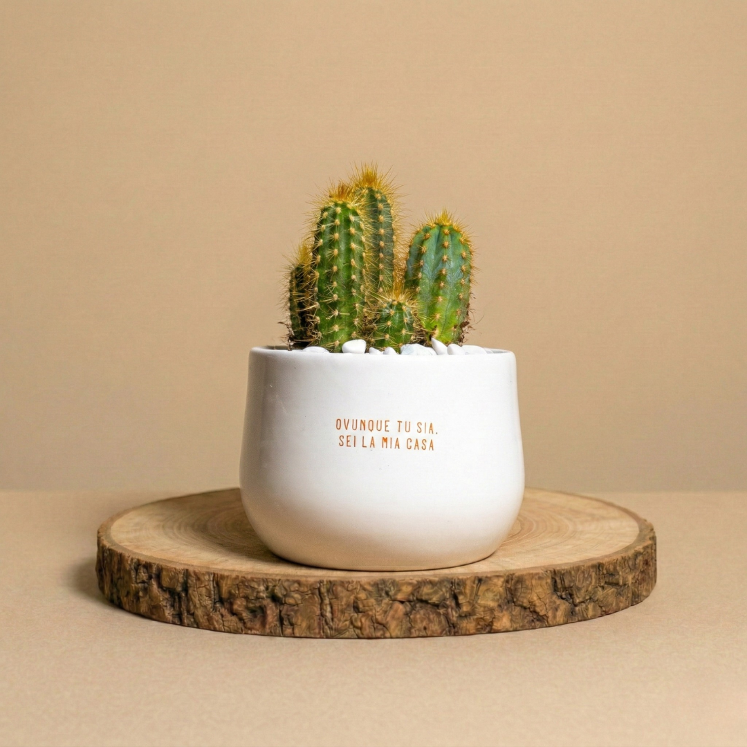 Immagine diapositiva