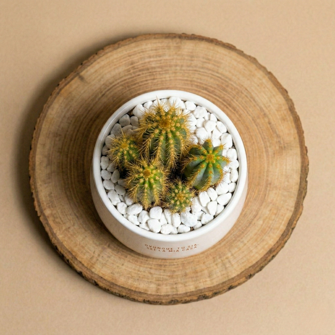 Ovunque tu sia sei la mia casa