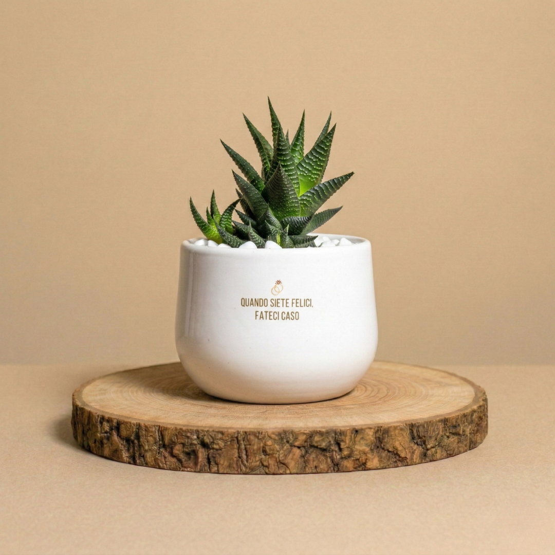 Immagine diapositiva