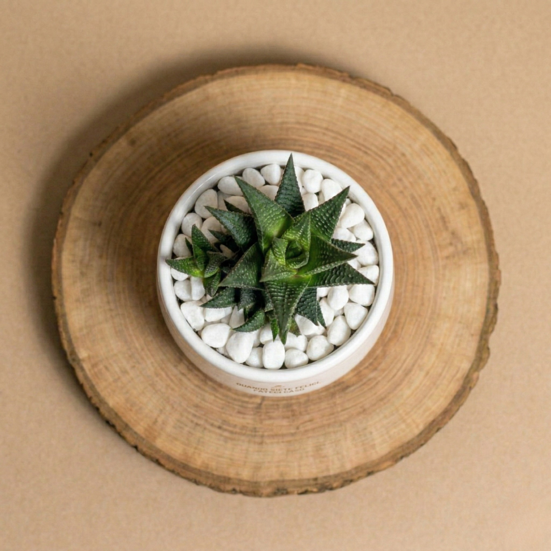 Quando siete felici fateci caso