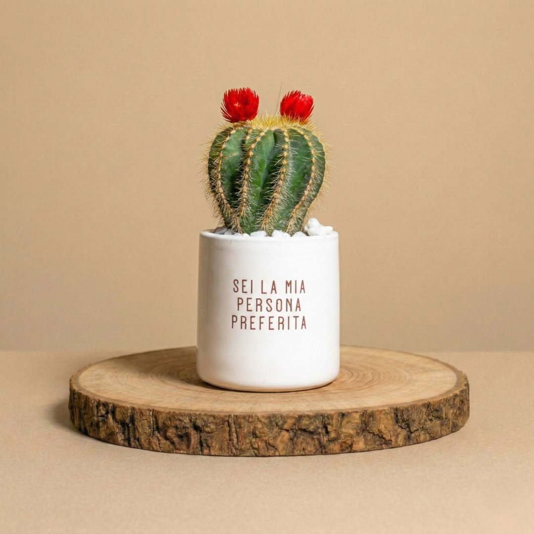 Immagine diapositiva