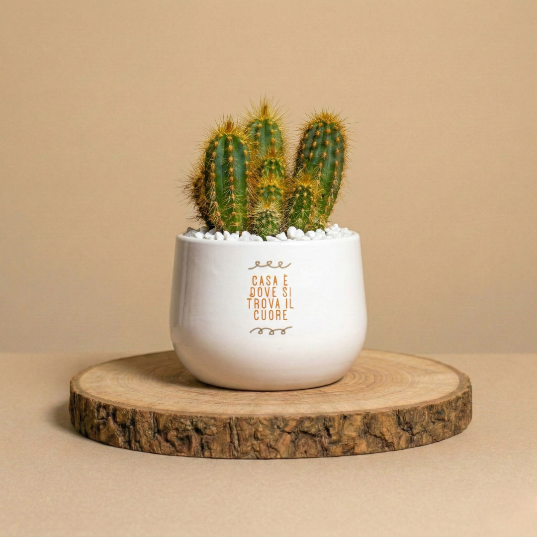 Immagine diapositiva