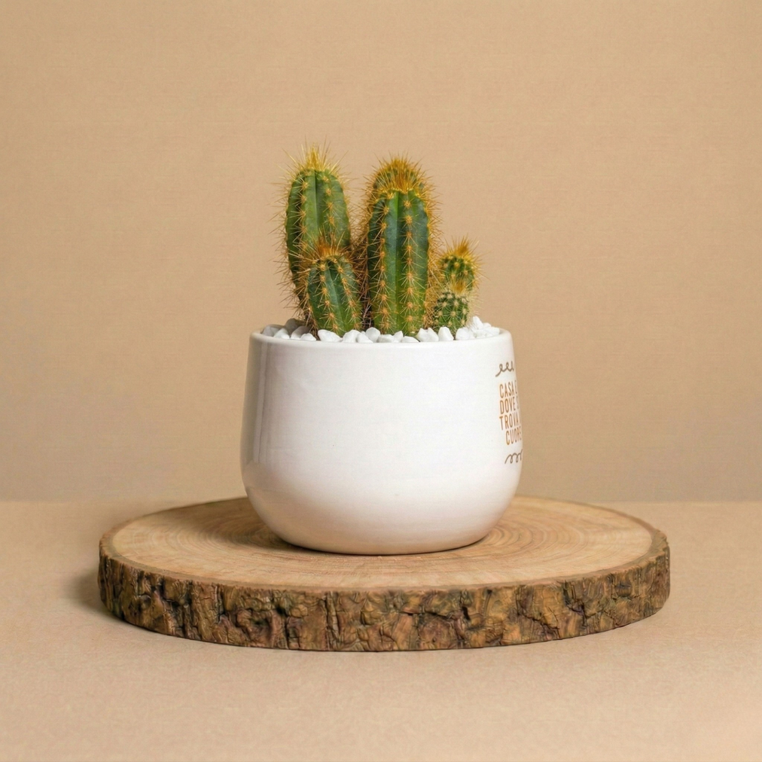 Casa è dove si trova il cuore