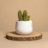 Casa è dove si trova il cuore