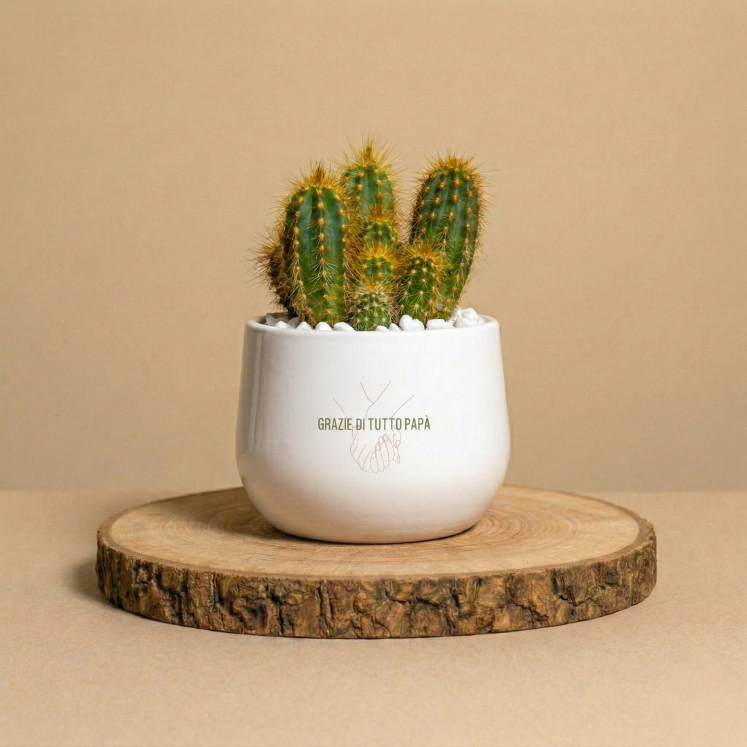 Immagine diapositiva