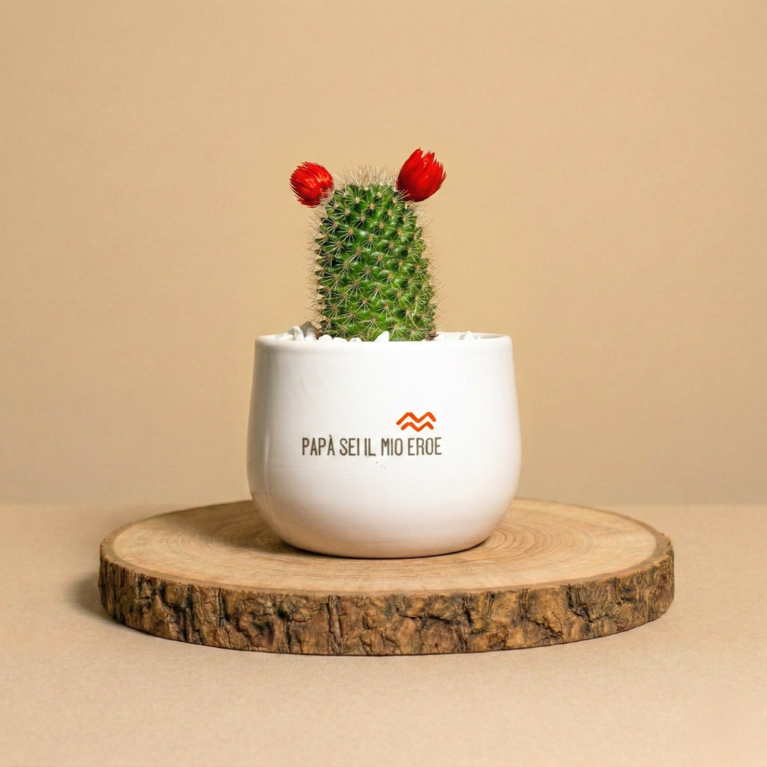 Immagine diapositiva