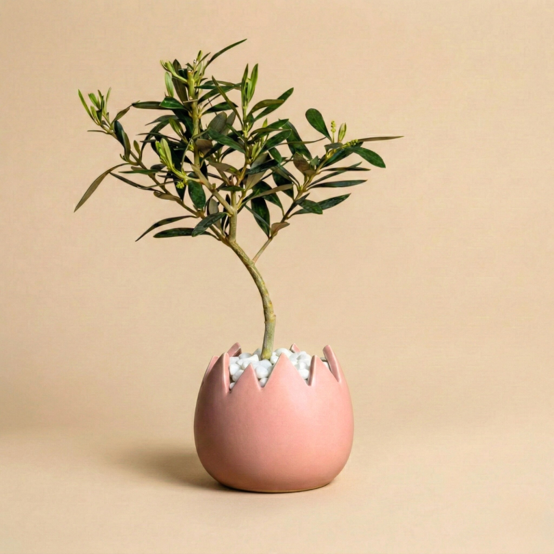 Immagine diapositiva