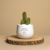 Cactus e palloncino