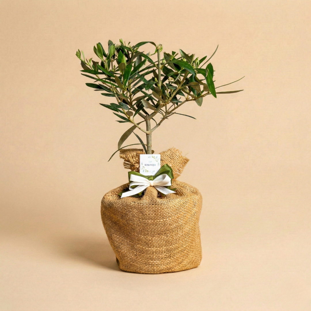 Immagine diapositiva