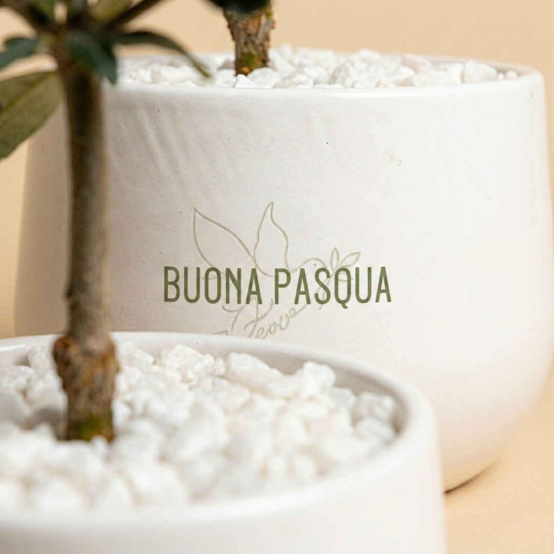 Buona Pasqua - Ulivo elegante