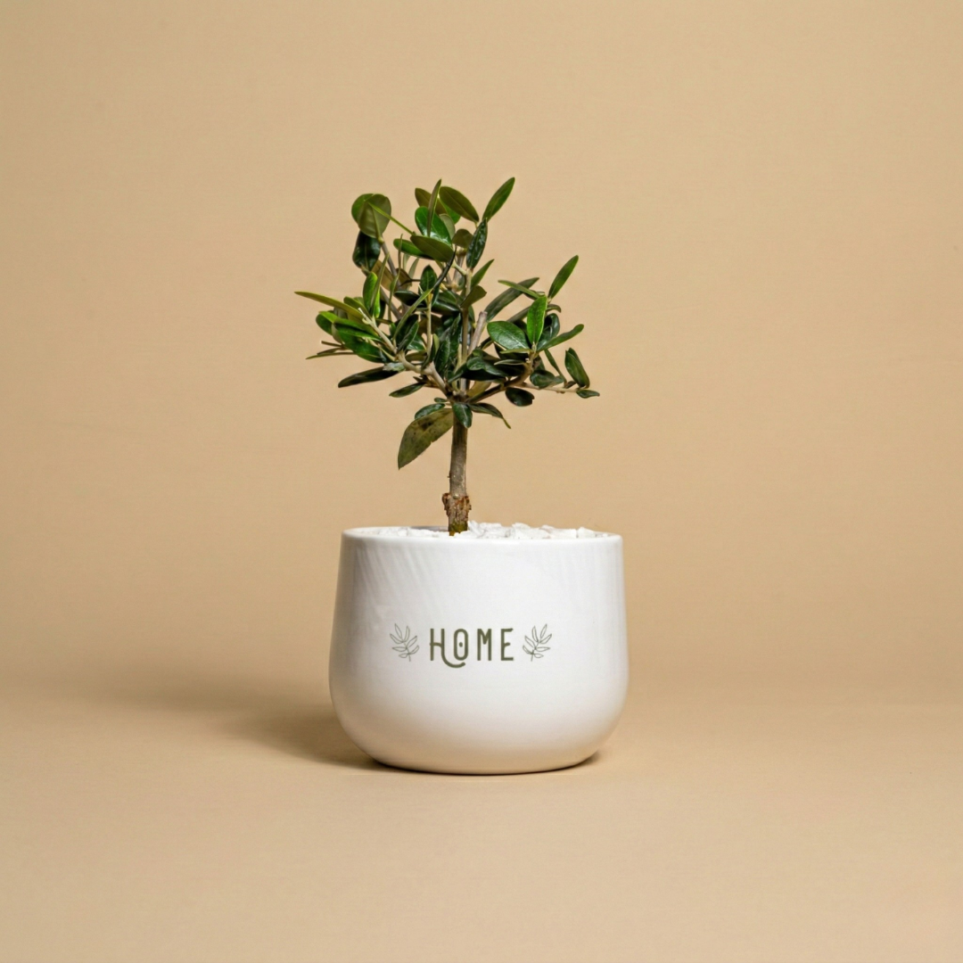 Immagine diapositiva