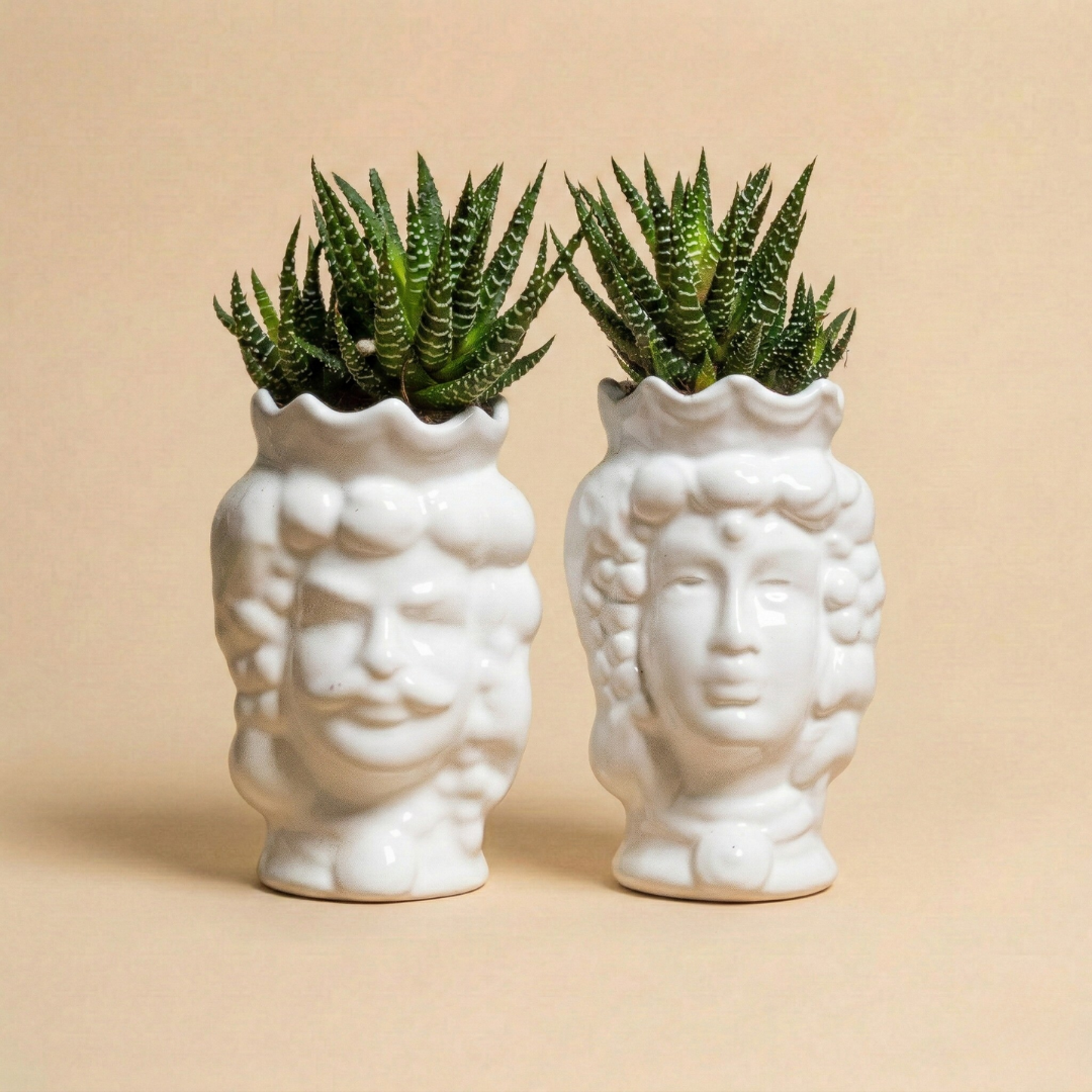 Immagine diapositiva