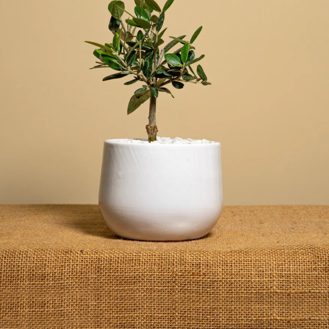 Prodotto Personalizzabile